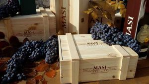Masi Wine Discovery Museum”,