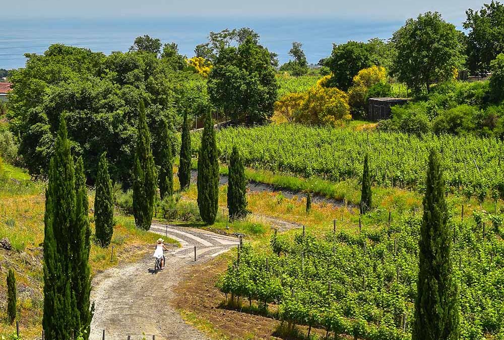 Primavera in bici con le new entry della collezione Luxury Bike Hotels