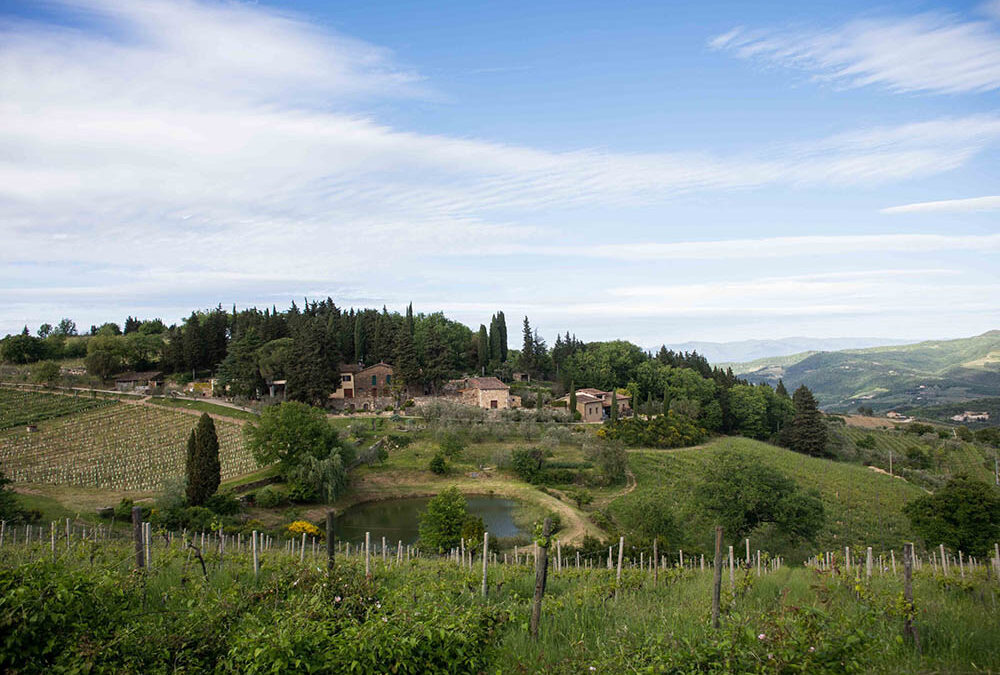 Passione Wine: 3 cantine in Italia per intenditori doc