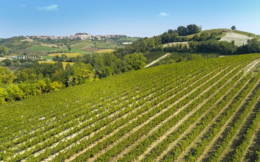 In cantina vince la valorizzazione del territorio