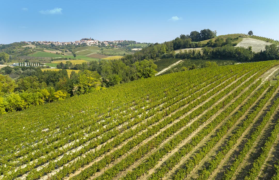 In cantina vince la valorizzazione del territorio