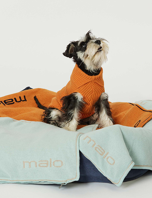 Cashmere Dream di Malo for Dogs