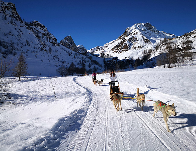 Sleddog adventure Castelmagno