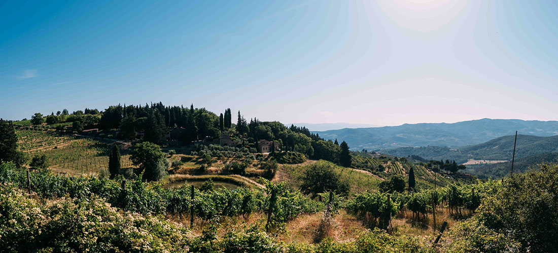 Vecchie terre di Montefili