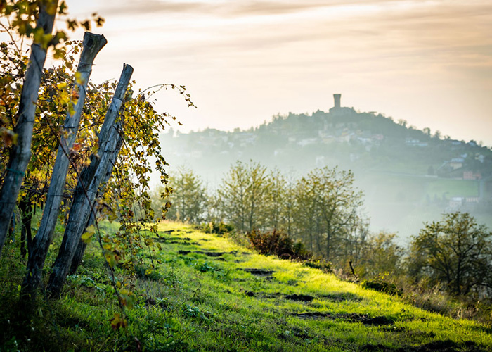 Colline dell'Oltrepò