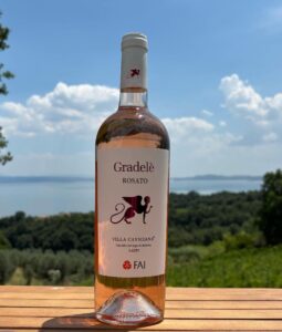 Rosé Day