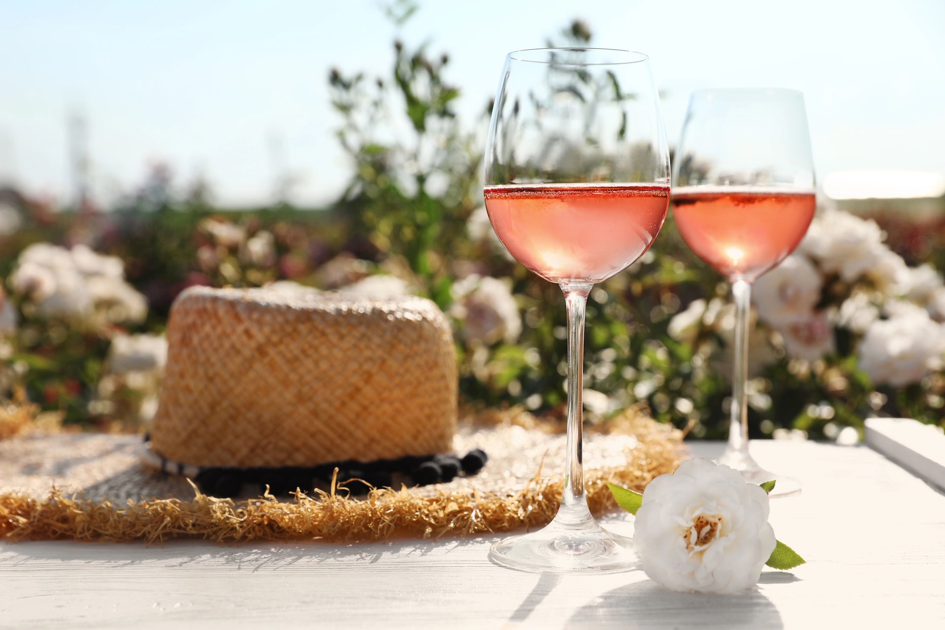 INTERNATIONAL ROSÉ DAY, FRESCA ELEGANZA NEI CALICI