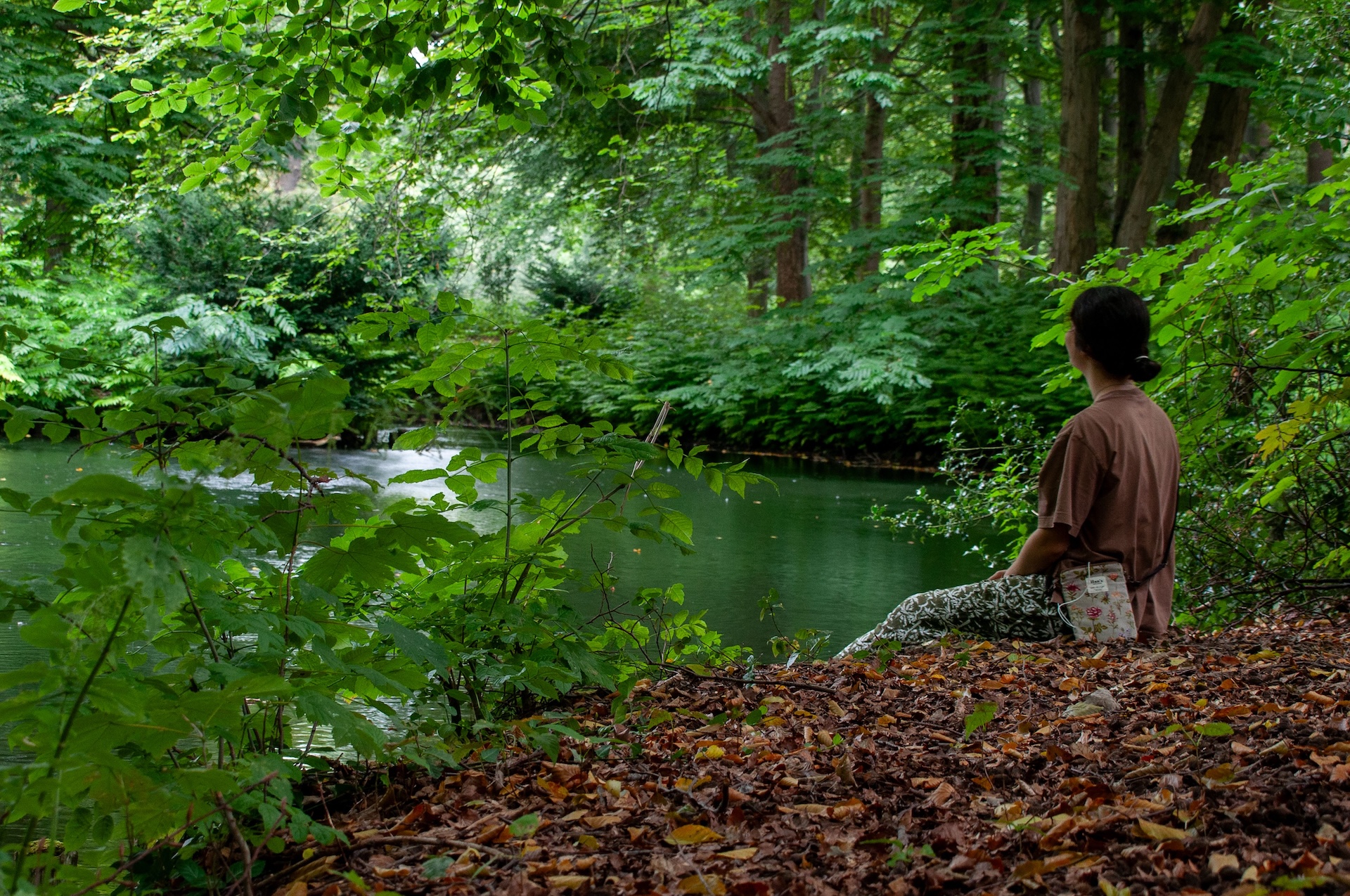 L’ARTE DEL FOREST BATHING IN AUTUNNO